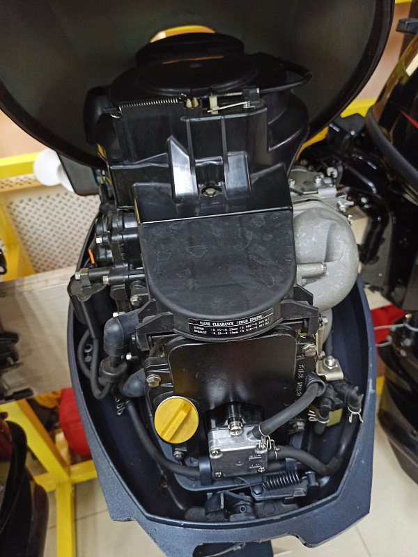 Лодочный мотор BREEZE F9,9S (4х тактный) в Тамбове