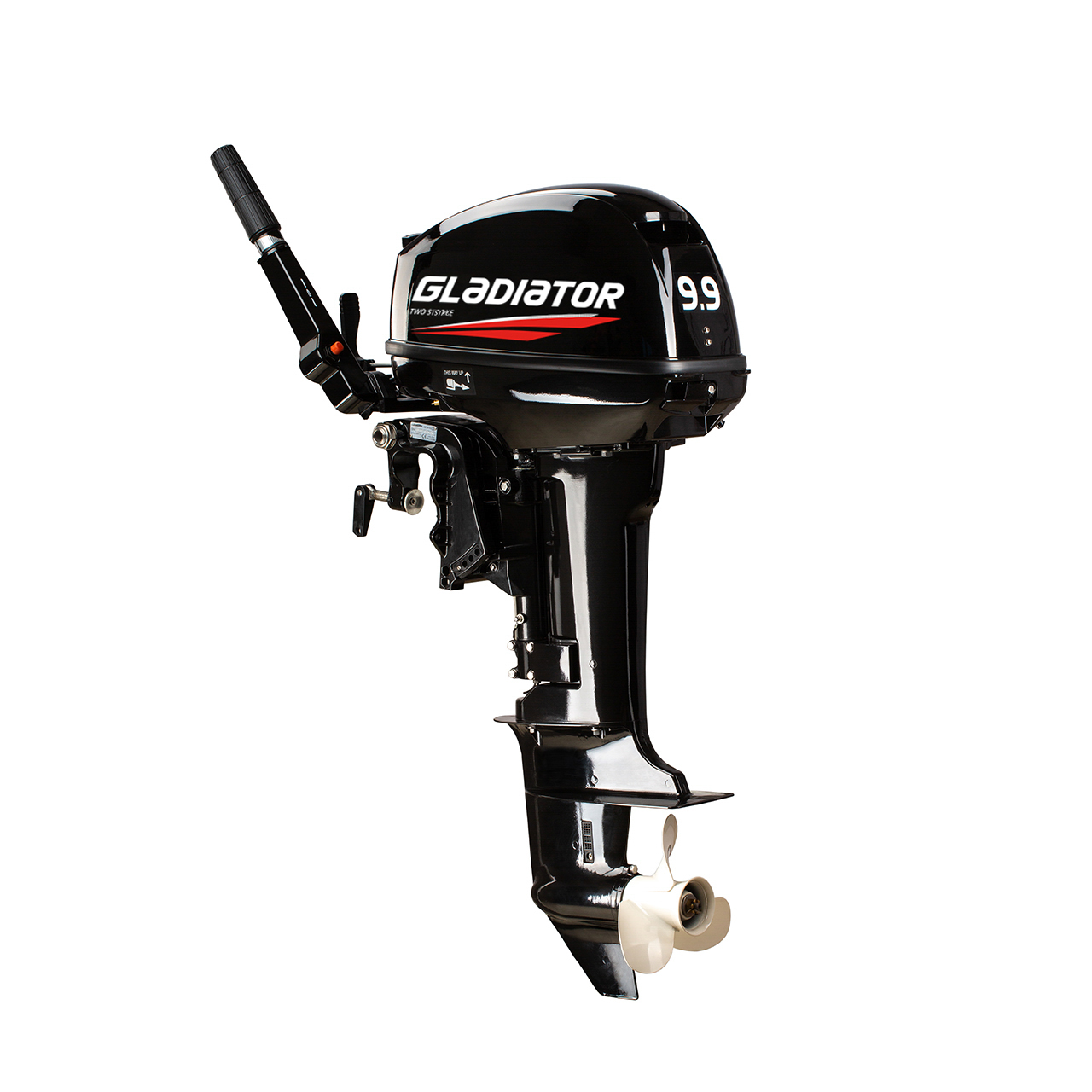 ЛОДОЧНЫЙ МОТОР GLADIATOR G9.9FHS в Тамбове