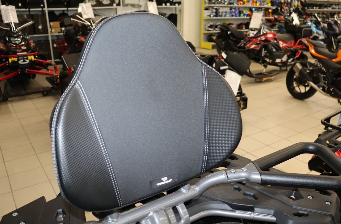 Квадроцикл PROMAX RENEGADE 300 LONG WINCH PRO (2025) в Тамбове