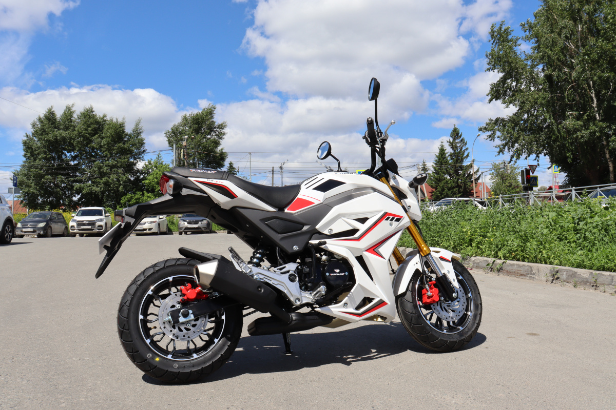 Мотоцикл PROMAX STRYKER 200(49) 2.0 в Тамбове