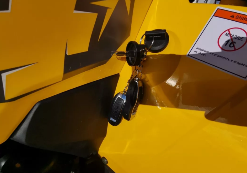 Квадроцикл MOTOLAND (МОТОЛЕНД) VOX200 WILD TRACK X PRO (баланс. вал) в Тамбове