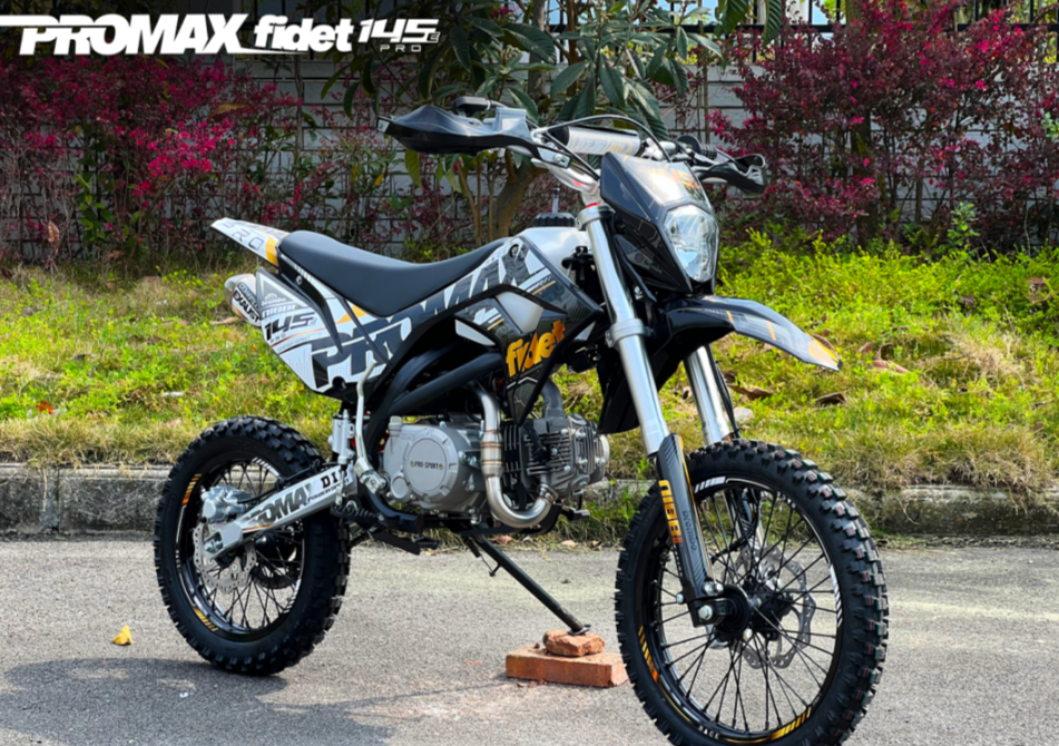 Мотоцикл (питбайк) PROMAX FIDET (ФАЙДЕТ) 145E PRO 17/14 в Тамбове