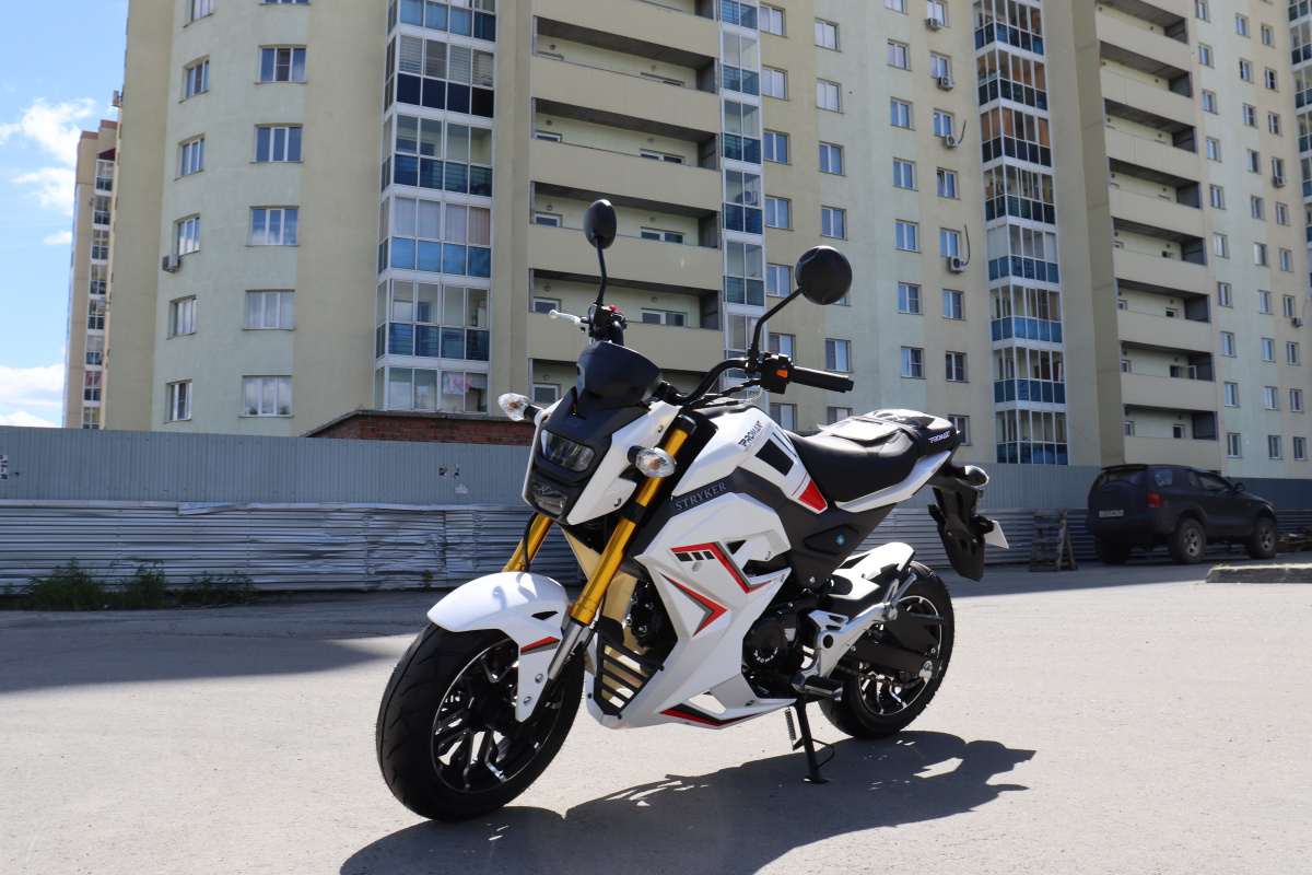 Мотоцикл PROMAX STRYKER 200(49) 2.0 в Тамбове