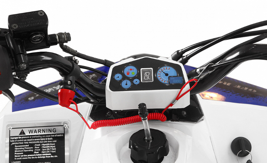 Квадроцикл Yacota Raposa 110 в Тамбове