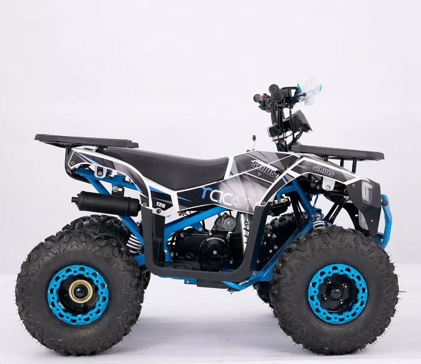 Квадроцикл YACOTA SIRIUS 110 в Тамбове