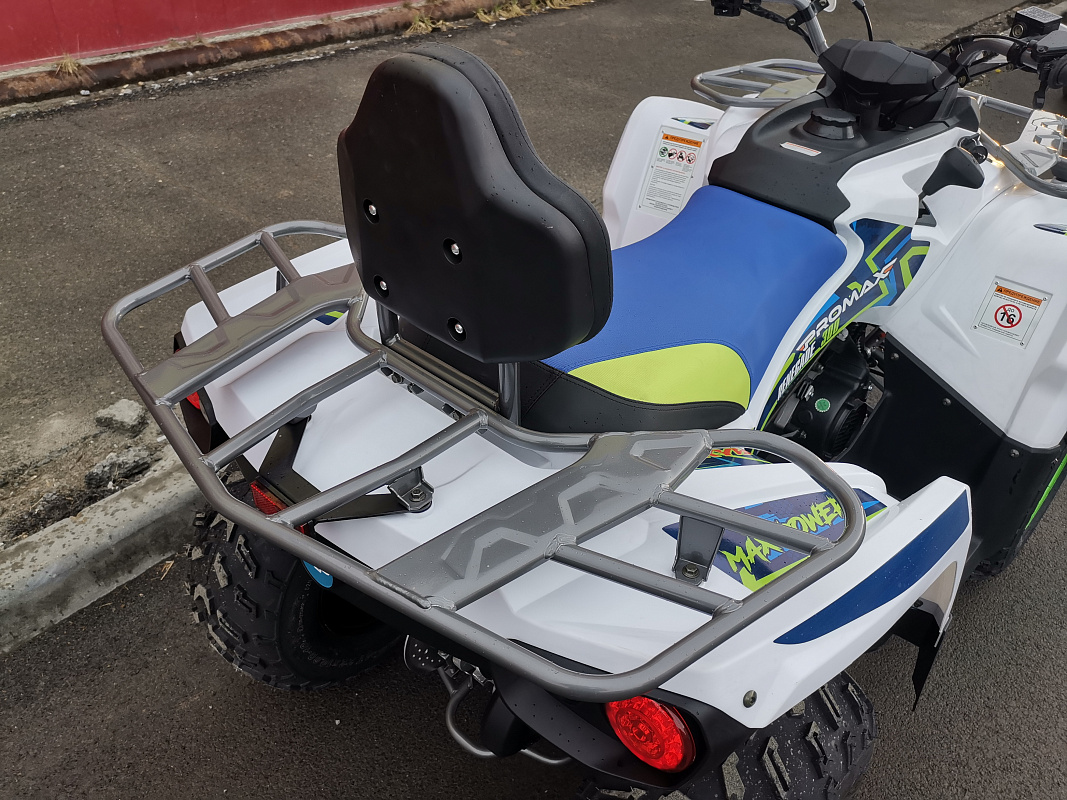 Квадроцикл PROMAX RENEGADE 280 LUX (2025) в Тамбове