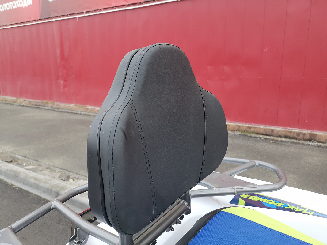 Квадроцикл PROMAX RENEGADE 280 LUX (2025) в Тамбове