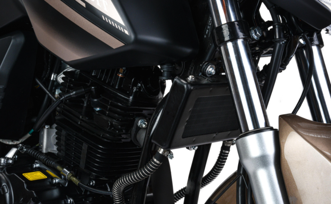 Мотоцикл MOTOLAND (МОТОЛЕНД) 300 BANDIT в Тамбове