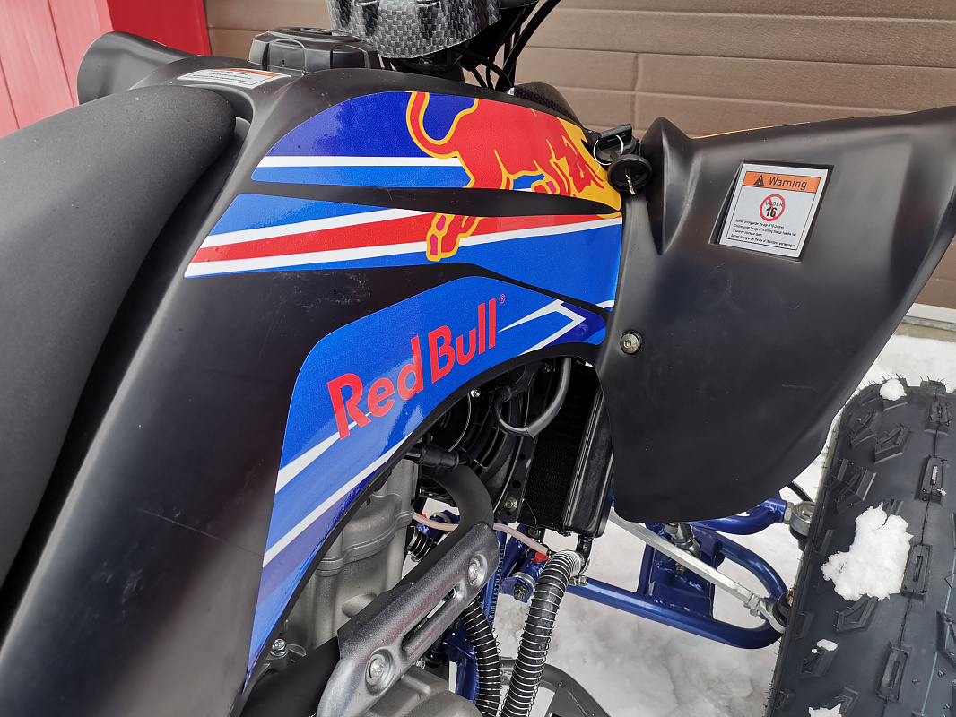 Квадроцикл PROMAX RAPTOR 300 NEW RedBull в Тамбове