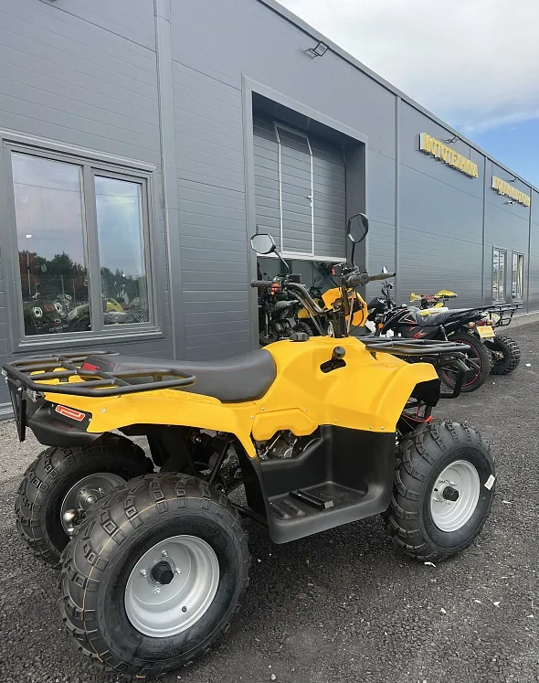 КВАДРОЦИКЛ IRBIS ATV 250  в Тамбове