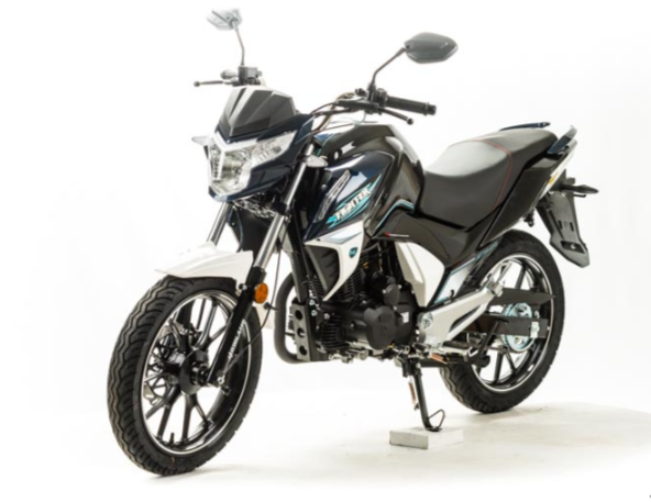 Мотоцикл MOTOLAND (МОТОЛЕНД) FIGHTER 250 в Тамбове