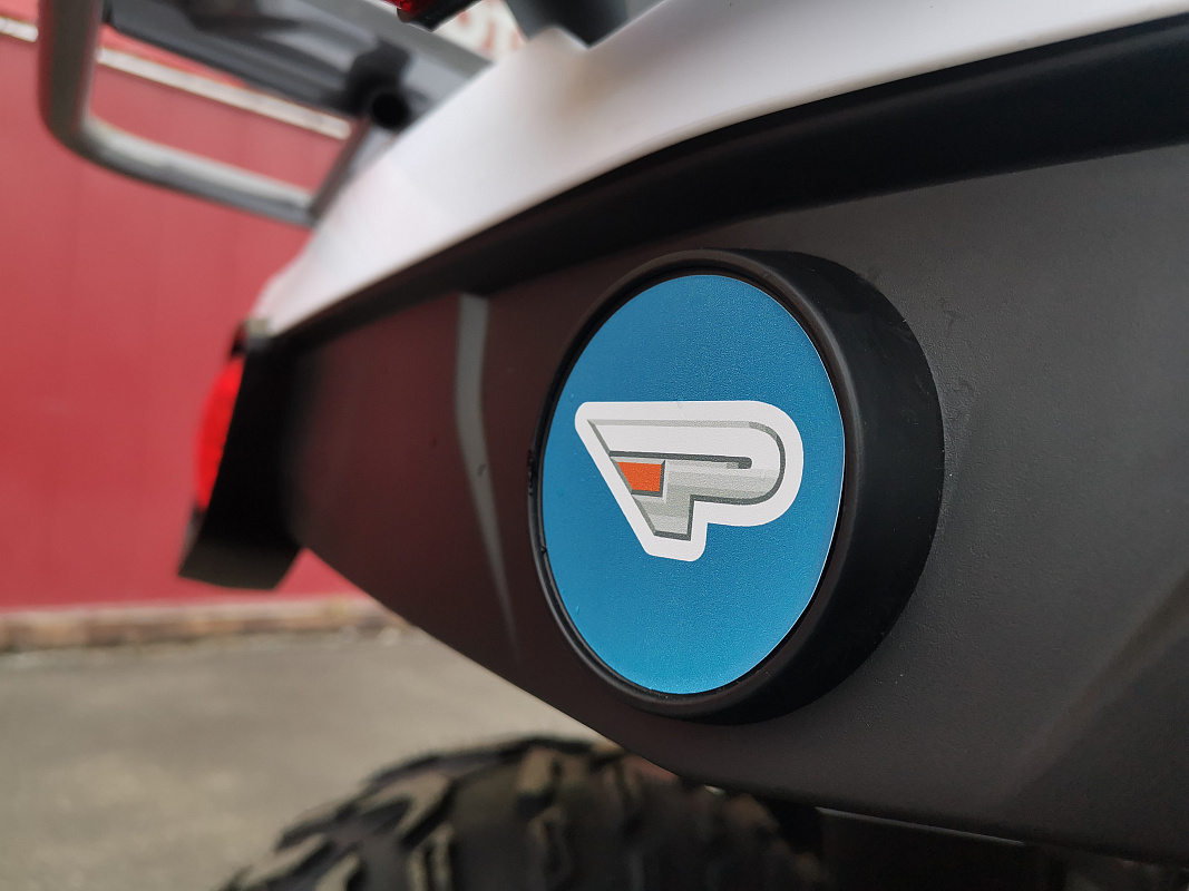 Квадроцикл PROMAX RENEGADE 280 LUX (2025) в Тамбове