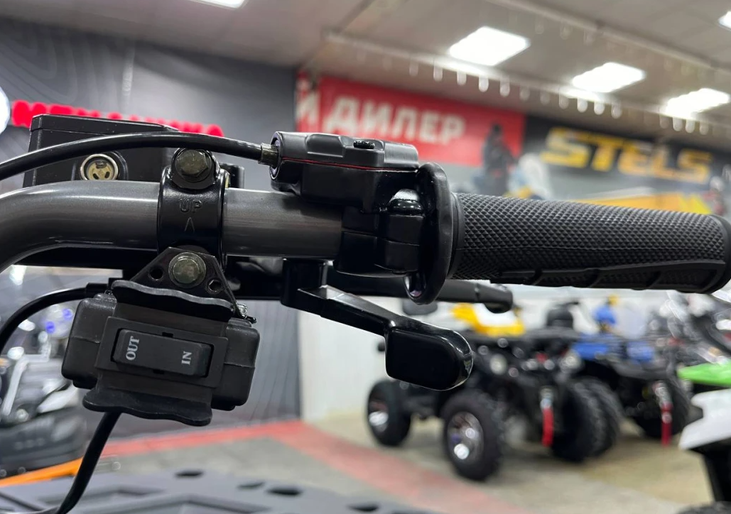 Квадроцикл PROMAX RENEGADE 300 LONG WINCH PRO (2025) в Тамбове