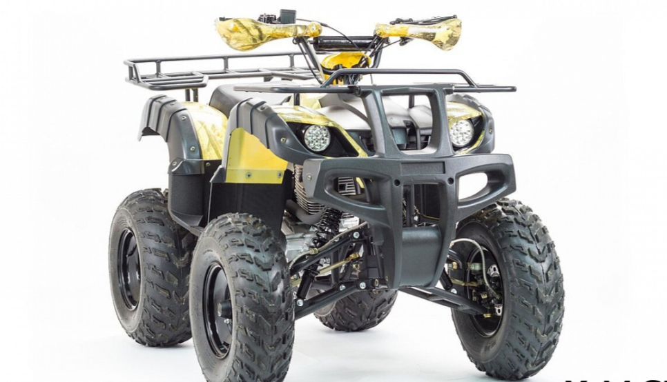 Квадроцикл MOTOLAND (МОТОЛЕНД) 250 ADVENTURE в Тамбове