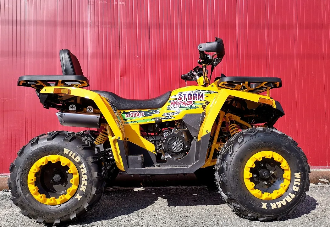 Квадроцикл PROMAX STORM 280 LUX в Тамбове