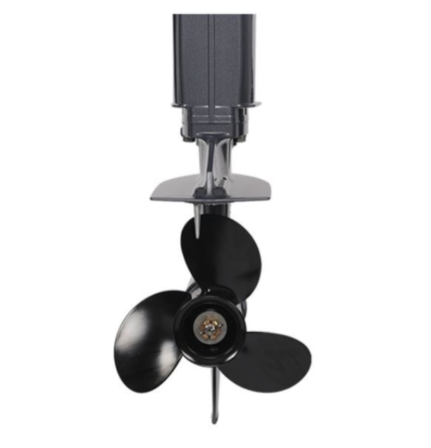 Лодочный мотор ALLFA CG Т40FW S в Тамбове