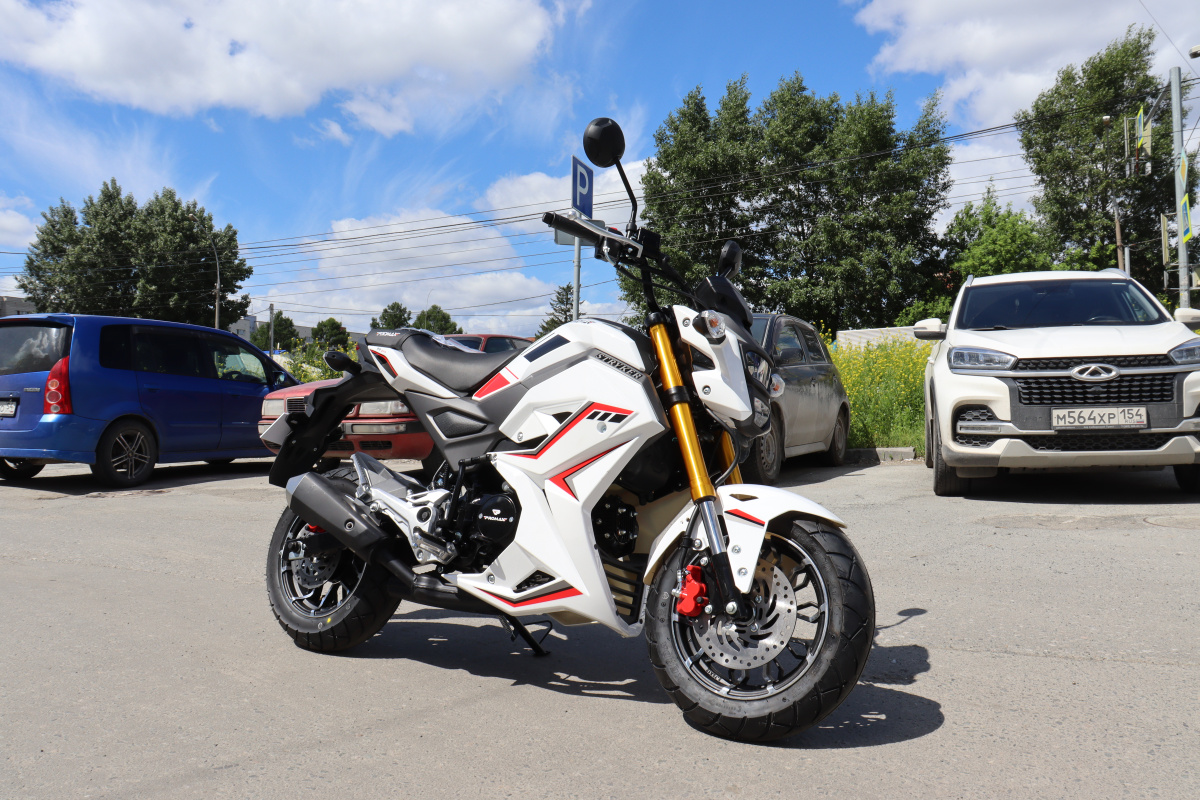 Мотоцикл PROMAX STRYKER 200(49) 2.0 в Тамбове