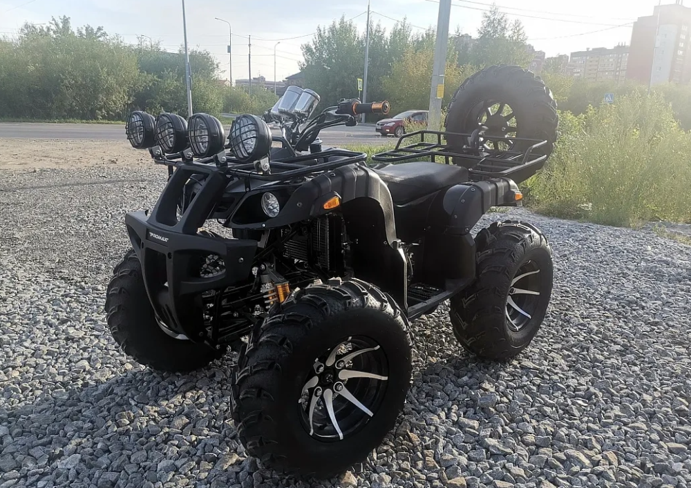 Квадроцикл PROMAX LEO 300 Max (кардан) в Тамбове