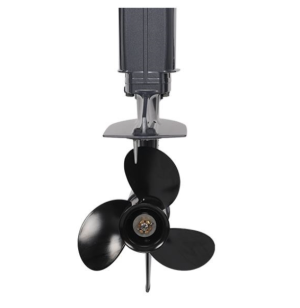 Лодочный мотор ALLFA CG Т40FWT S в Тамбове