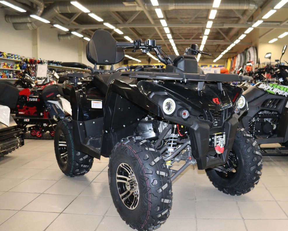 Квадроцикл PROMAX RENEGADE 300 LONG WINCH PRO (2025) в Тамбове