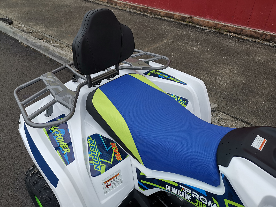 Квадроцикл PROMAX RENEGADE 280 LUX (2025) в Тамбове