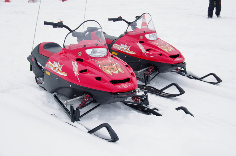 Снегоход РМ ТАЙГА РЫСЬ в Тамбове