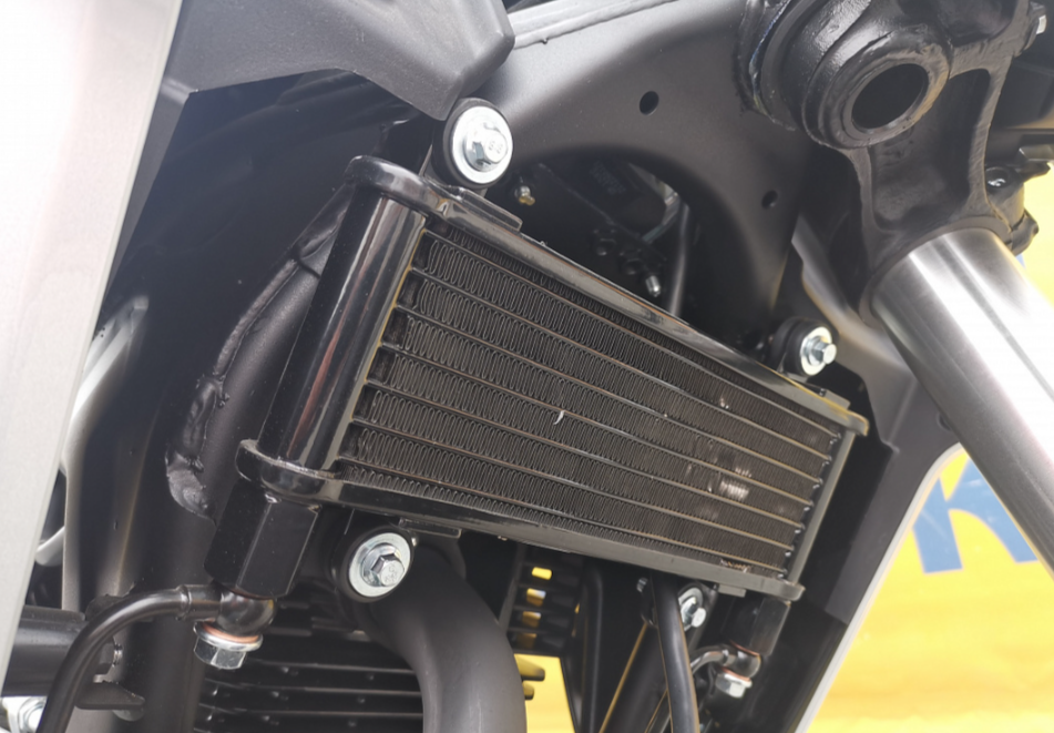 Мотоцикл MOTOLAND (МОТОЛЕНД) 250 CB250 (172FMM-5/PR250) (2022 г.) в Тамбове