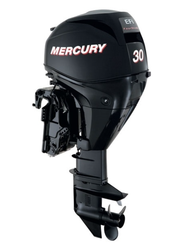 ЛОДОЧНЫЙ МОТОР MERCURY  F 30 ELH GA EFI в Тамбове