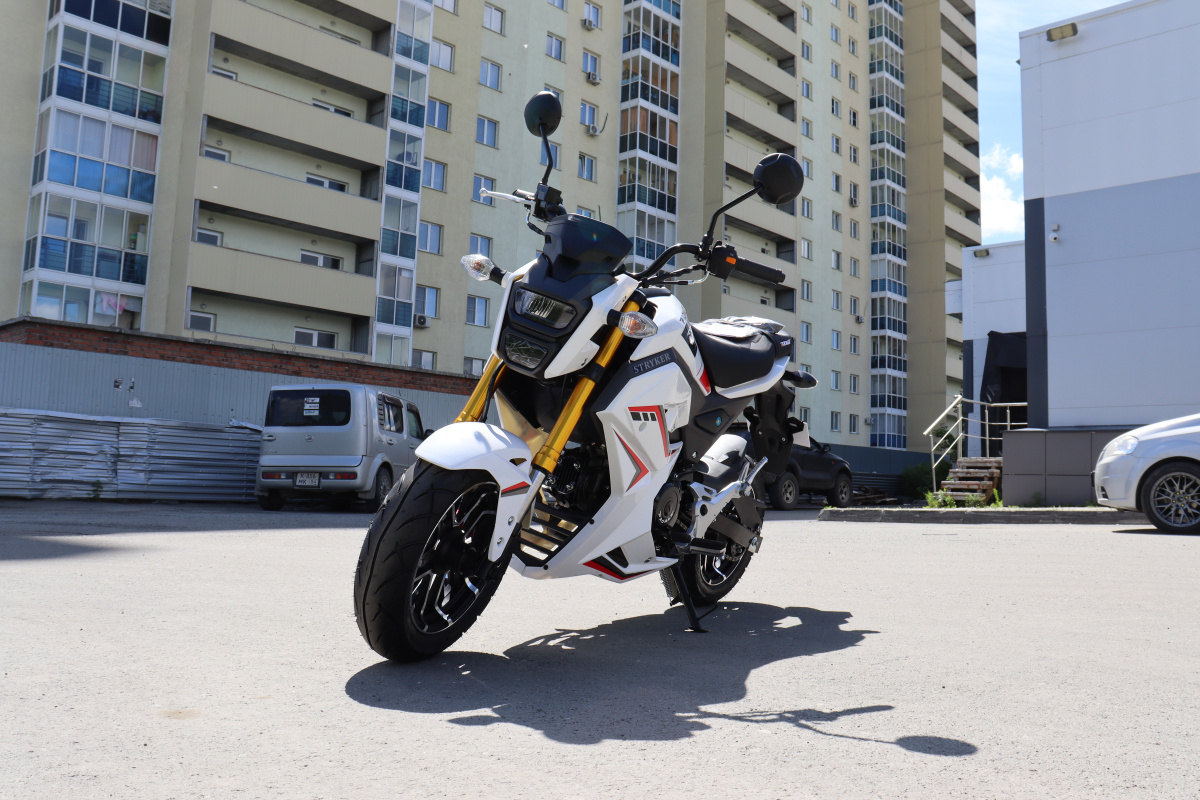 Мотоцикл PROMAX STRYKER 200(49) 2.0 в Тамбове