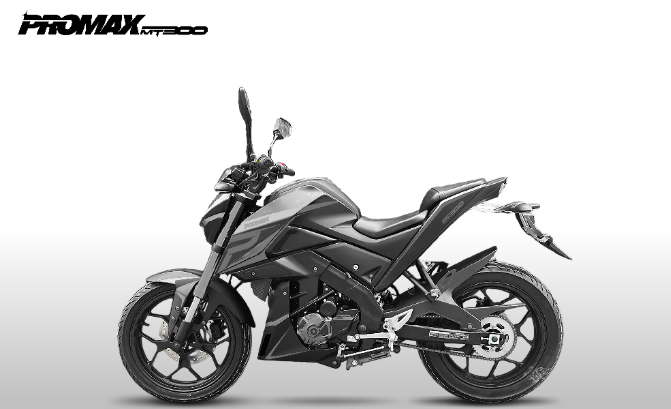 Мотоцикл PROMAX MT300 в Тамбове