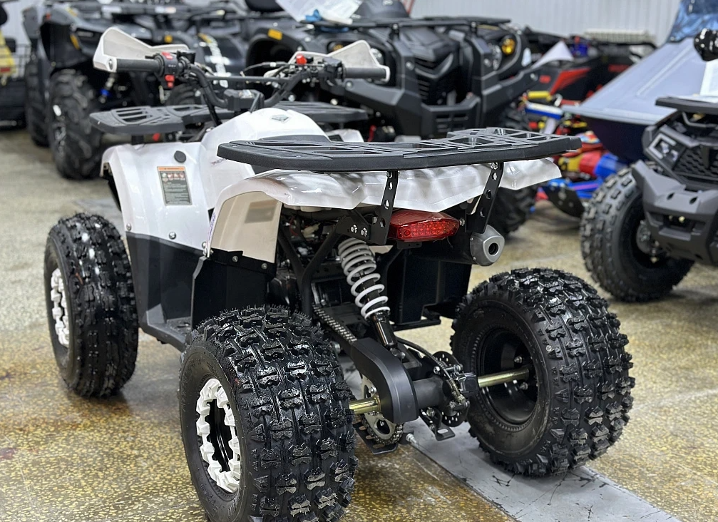 Квадроцикл PROMAX WILD 2.0 190 в Тамбове