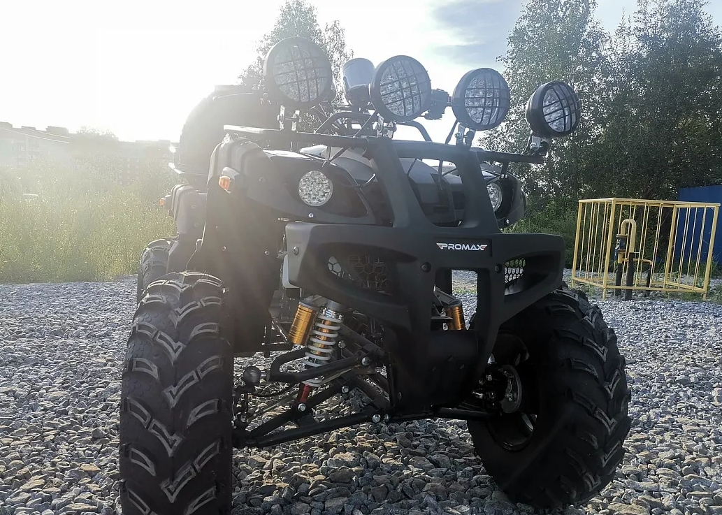 Квадроцикл PROMAX LEO 300 Max (кардан) в Тамбове