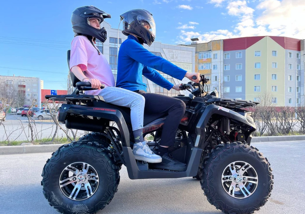 Квадроцикл PROMAX RENEGADE 300 LONG WINCH PRO (2025) в Тамбове