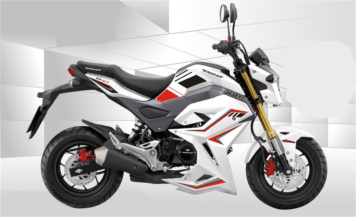 Мотоцикл PROMAX STRYKER 200(49) 2.0 в Тамбове