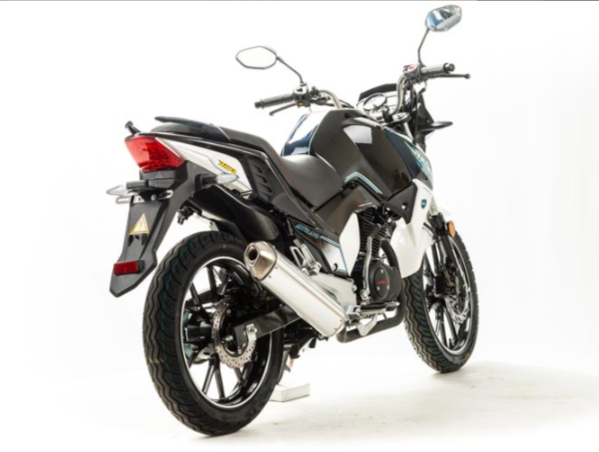 Мотоцикл MOTOLAND (МОТОЛЕНД) FIGHTER 250 в Тамбове