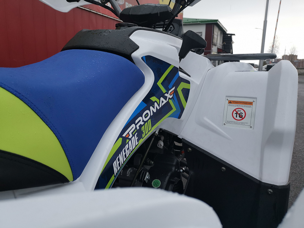Квадроцикл PROMAX RENEGADE 280 LUX (2025) в Тамбове