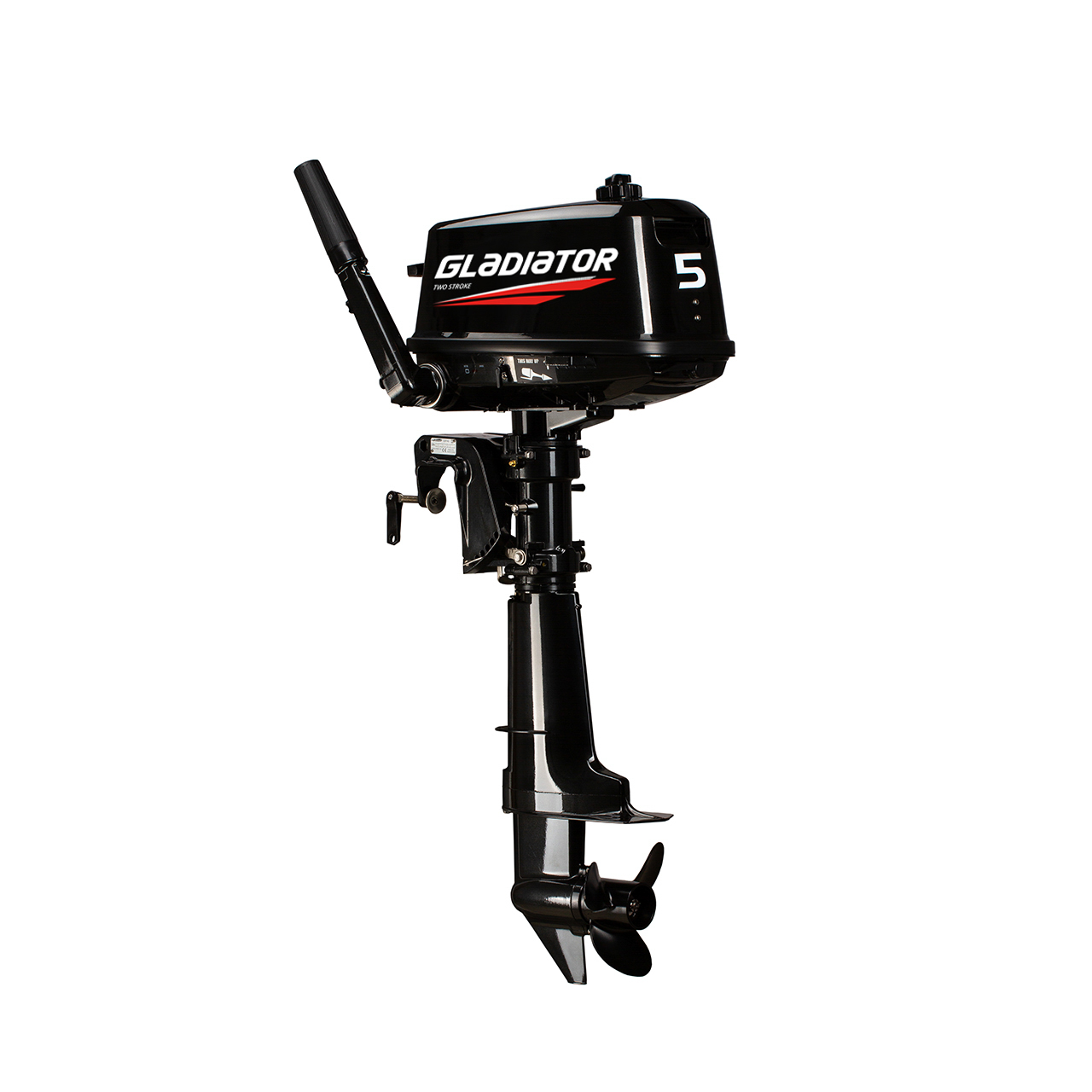 ЛОДОЧНЫЙ МОТОР GLADIATOR G5FHS в Тамбове