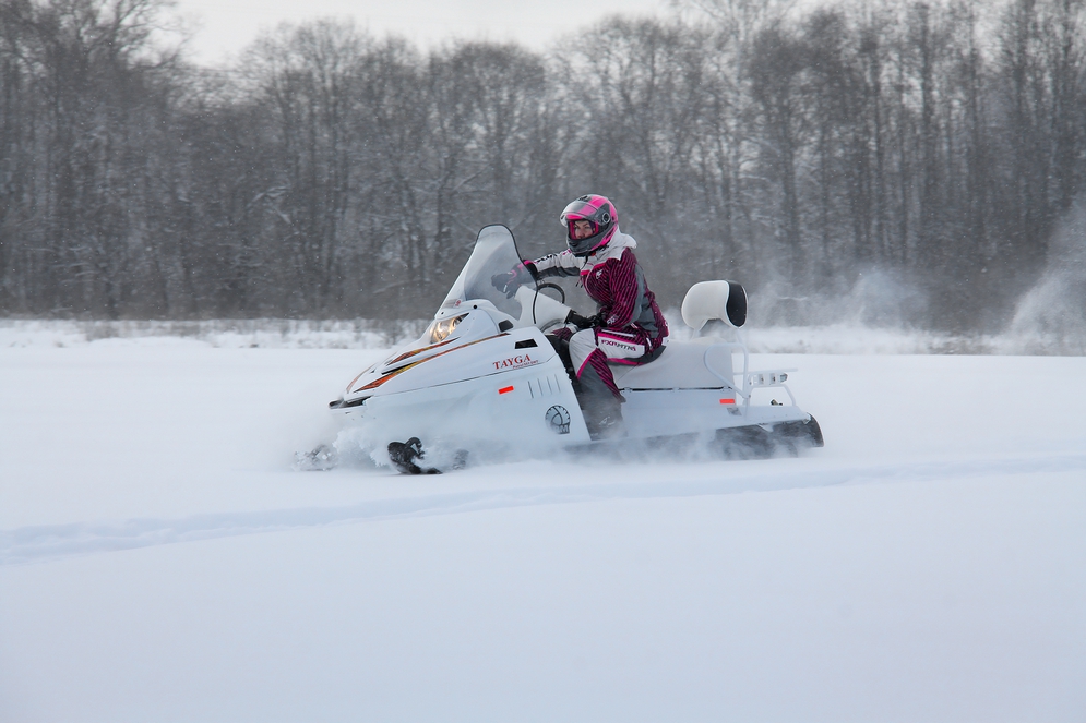 СНЕГОХОД РМ ТАЙГА ПАТРУЛЬ 551 SWT в Тамбове