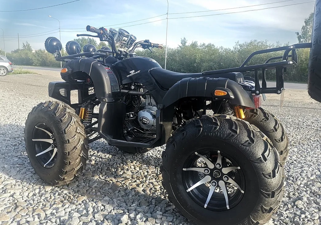 Квадроцикл PROMAX LEO 300 Max (кардан) в Тамбове