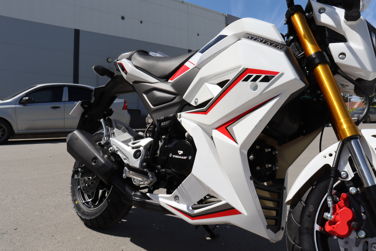 Мотоцикл PROMAX STRYKER 200(49) 2.0 в Тамбове