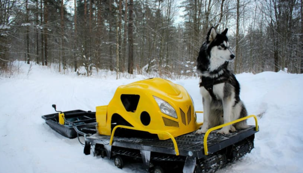 Мотобуксировщик LEBEDEV MOTORS ВОЛКОДАВ POWER V13 в Тамбове