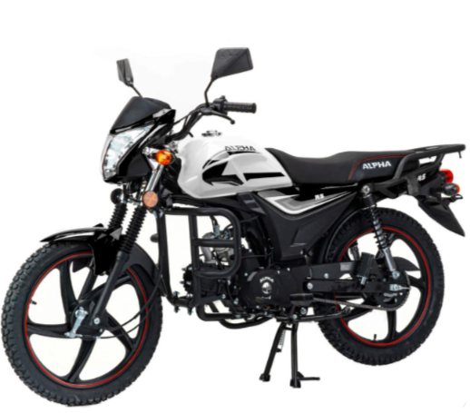 Мопед MOTOLAND (МОТОЛЕНД) Альфа RS 11 (LM48-B) в Тамбове