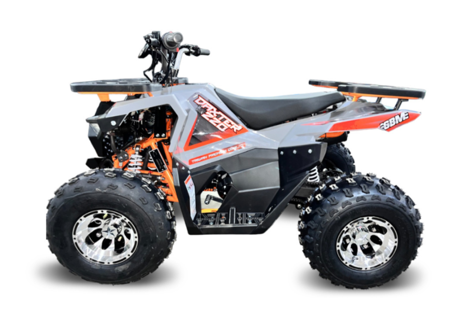 Квадроцикл GBM DAXTER 220 NEW PREMIUM в Тамбове