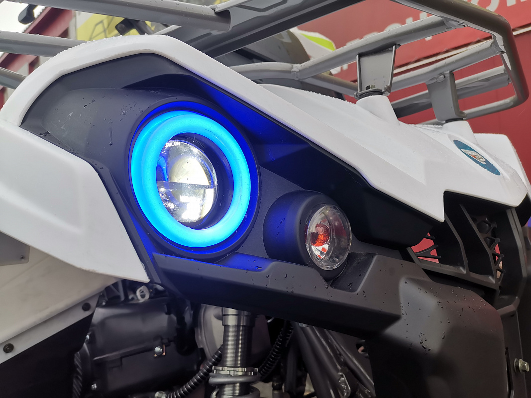 Квадроцикл PROMAX RENEGADE 280 LUX (2025) в Тамбове