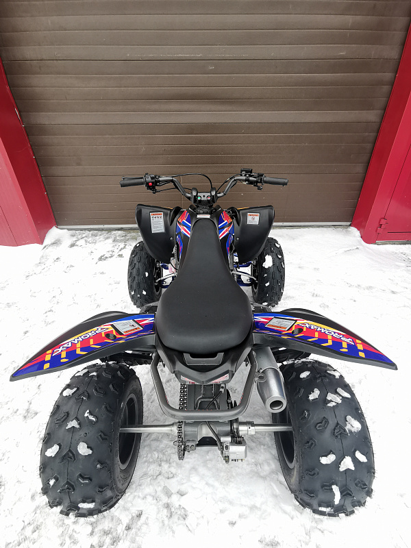 Квадроцикл PROMAX RAPTOR 300 NEW RedBull в Тамбове
