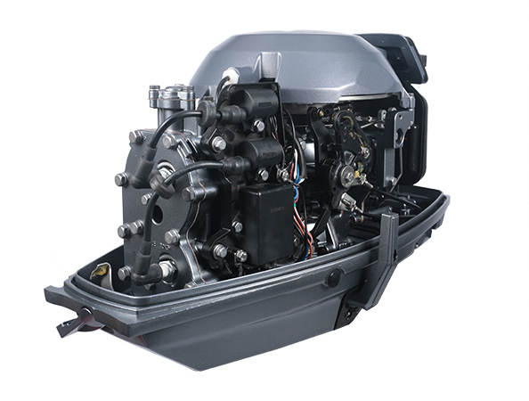 ЛОДОЧНЫЙ МОТОР ALLFA CG T30 FW S в Тамбове