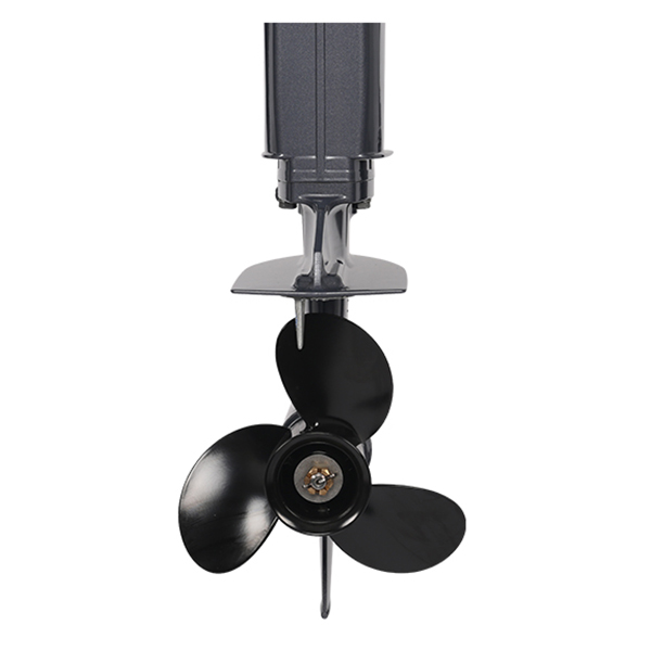 ЛОДОЧНЫЙ МОТОР ALLFA CG Т20 в Тамбове