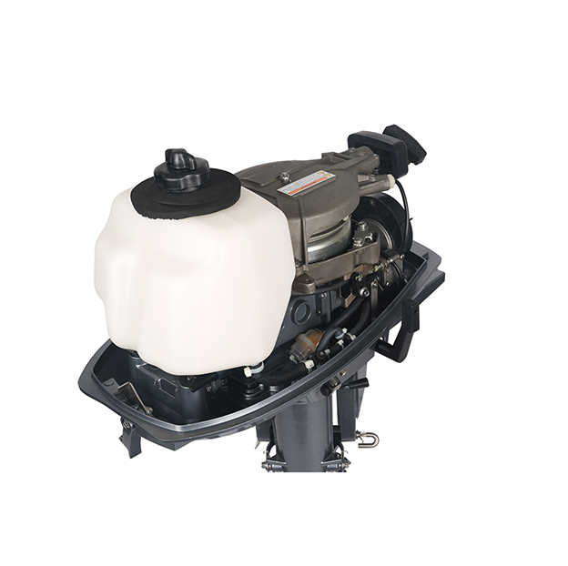 ЛОДОЧНЫЙ МОТОР ALLFA CG T5 в Тамбове