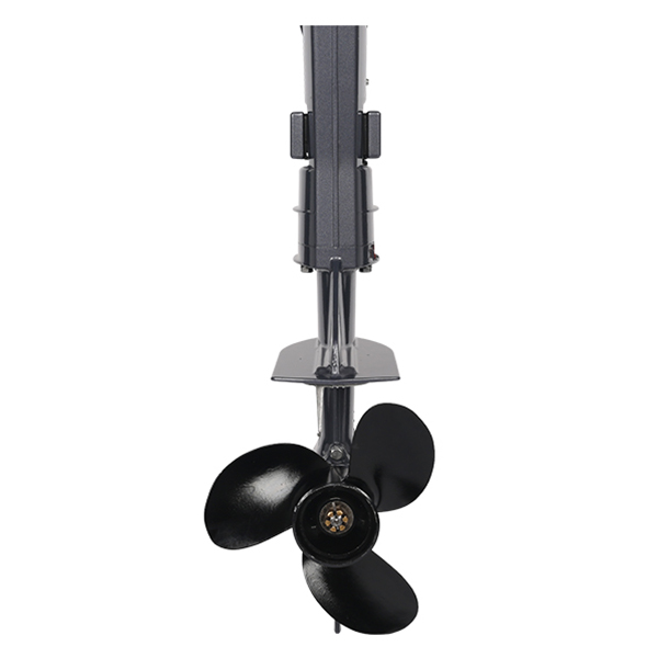 ЛОДОЧНЫЙ МОТОР ALLFA CG T5 в Тамбове