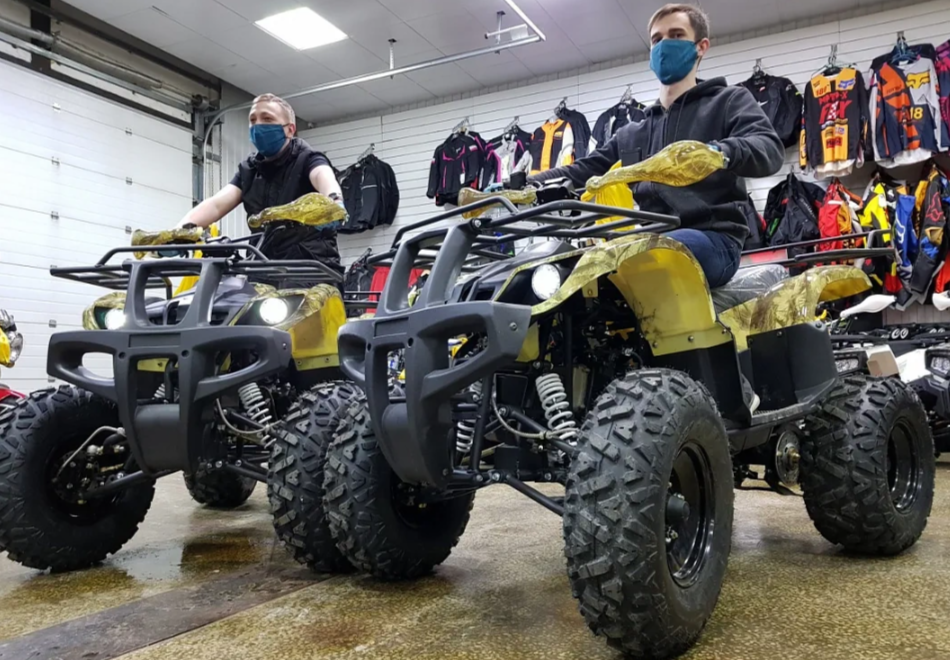 Квадроцикл PROMAX ATV 250 (2025) в Тамбове